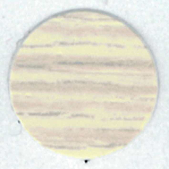 13250151 Τάπες Δρυς 58