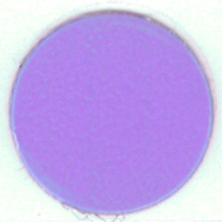 13250179 Τάπες Λιλά 124