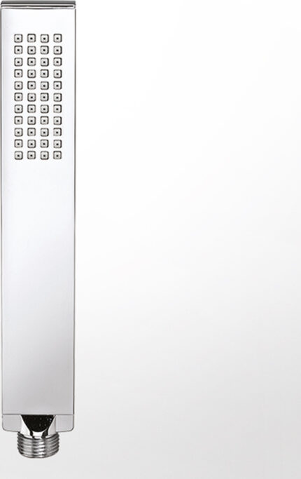 Τηλέφωνο Ντουζ C4700-100