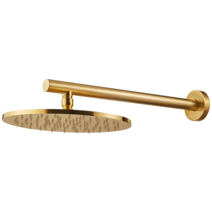 Βραχίονας τοίχου με κεφαλή ντους 800085+800597 brushed gold