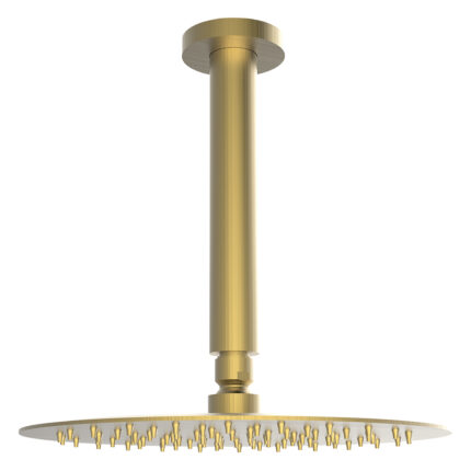 Βραχίονας οροφής με κεφαλή ντους 800087+800597 brushed gold