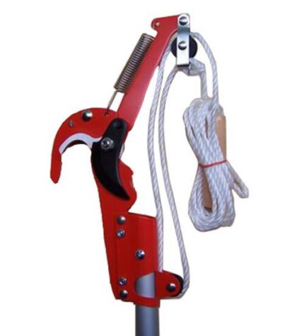 ΨΑΛΙΔΙ ΚΑΜΠΙΑΣ ΠΡΙΟΝΙ