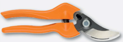 Ψαλίδι κλάδου PG-12F