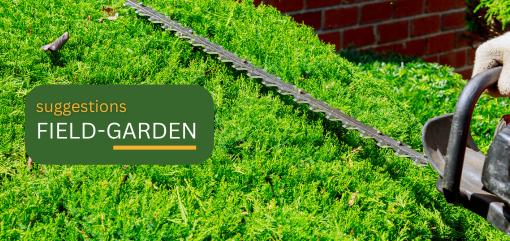 προτάσεις κατηγοριών αρχική σελίδα sigletos ΑΓΡΟΣ - ΚΗΠΟΣ